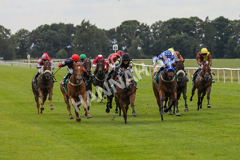 240624-Race 4-Golden Rainbow-0264 - Race 4