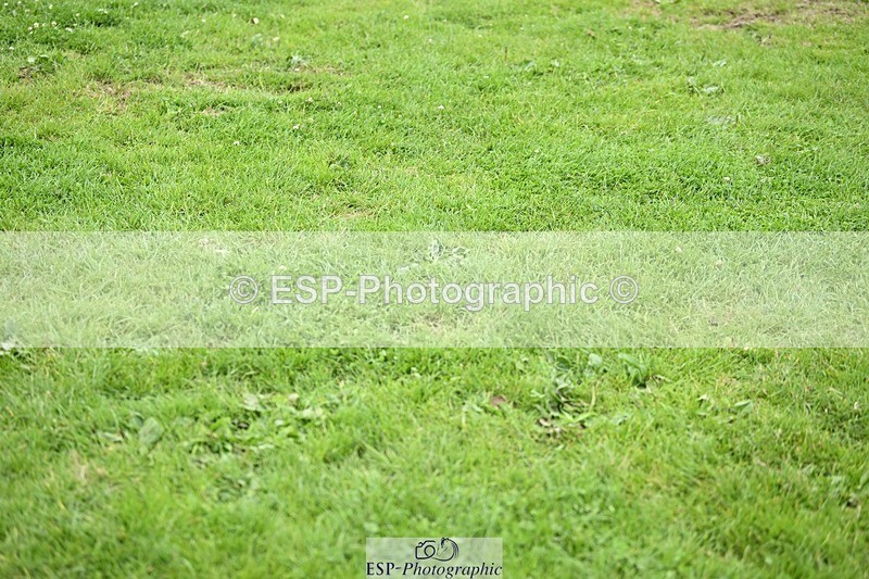 240711-151716-28714 - Cls 118 Snr 1.45m Grand Prix