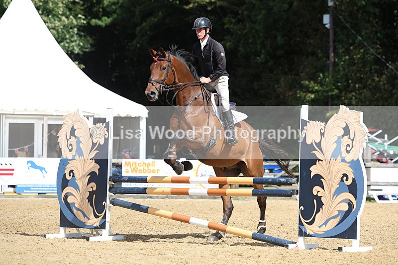 3E7A9303 - Class 9: Senior British Novice/90cm open