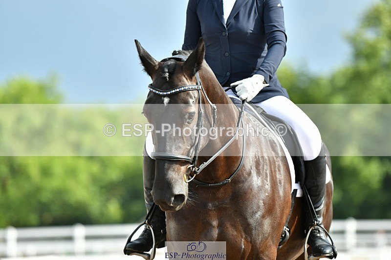 230708A-091638-02031 - Prelim 13