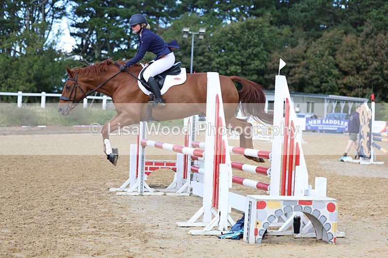 3E7A9090 - Class 9: Senior British Novice/90cm open