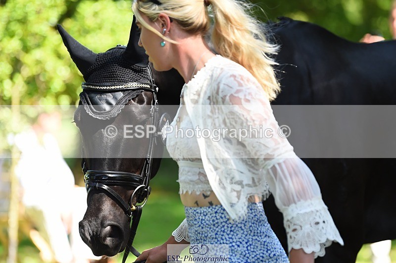 230524-153318-00352 - 358-EQUADOR_MW-Toots_Bartlett-WEDTrotUp+DR