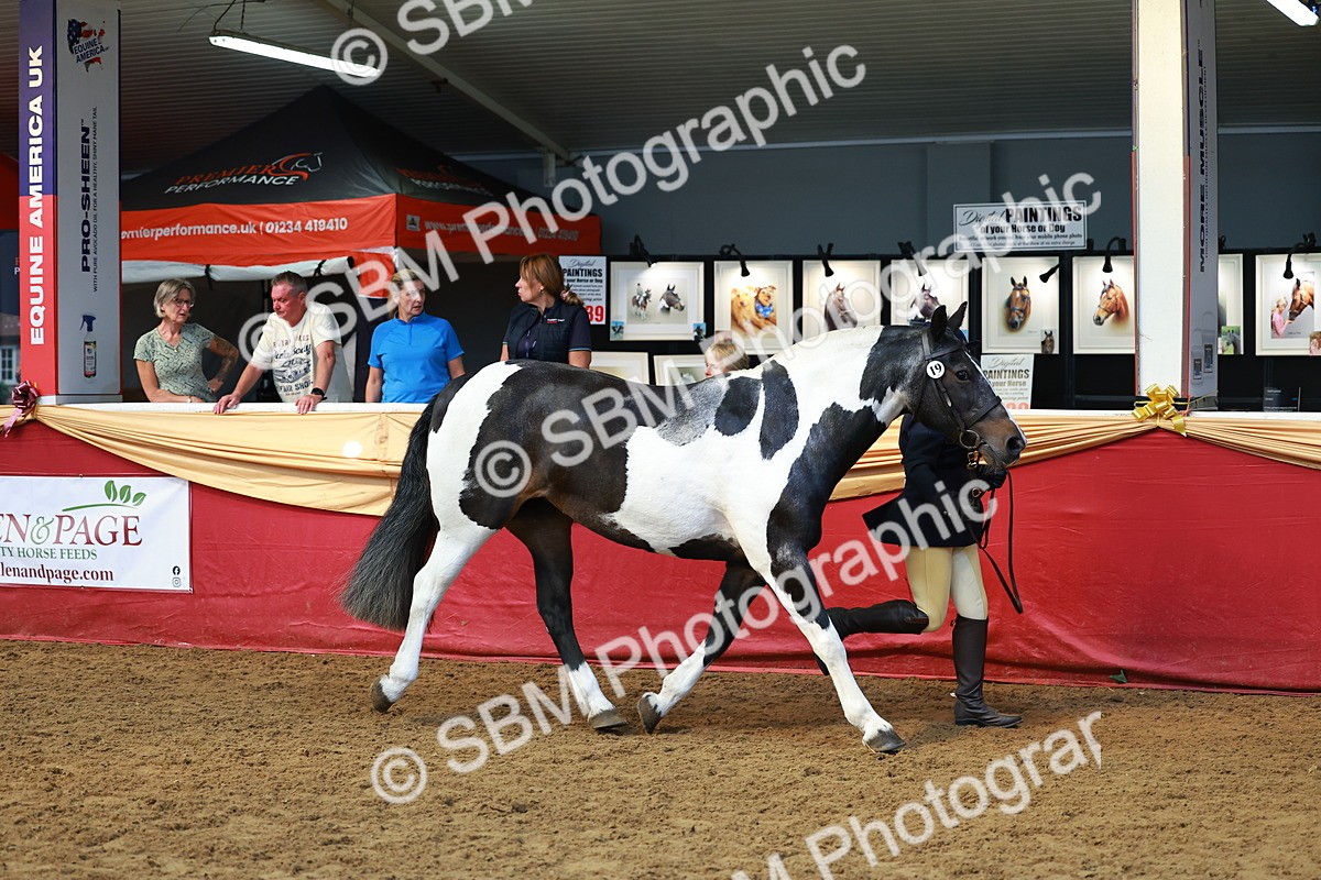 SBM_18445 - Class 903 - Sup Final - IH Pre Vet