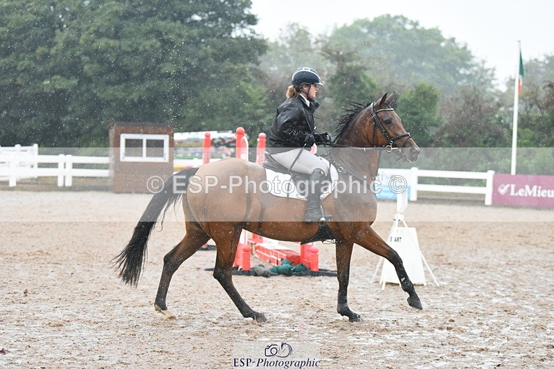 230917A-110044-06385 - Cls 33 British Novice & 90cm Open