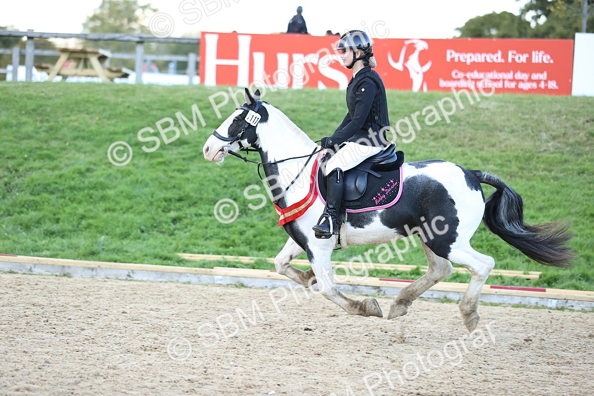 SBM_54446 - Supreme Championship 70cm 75cm