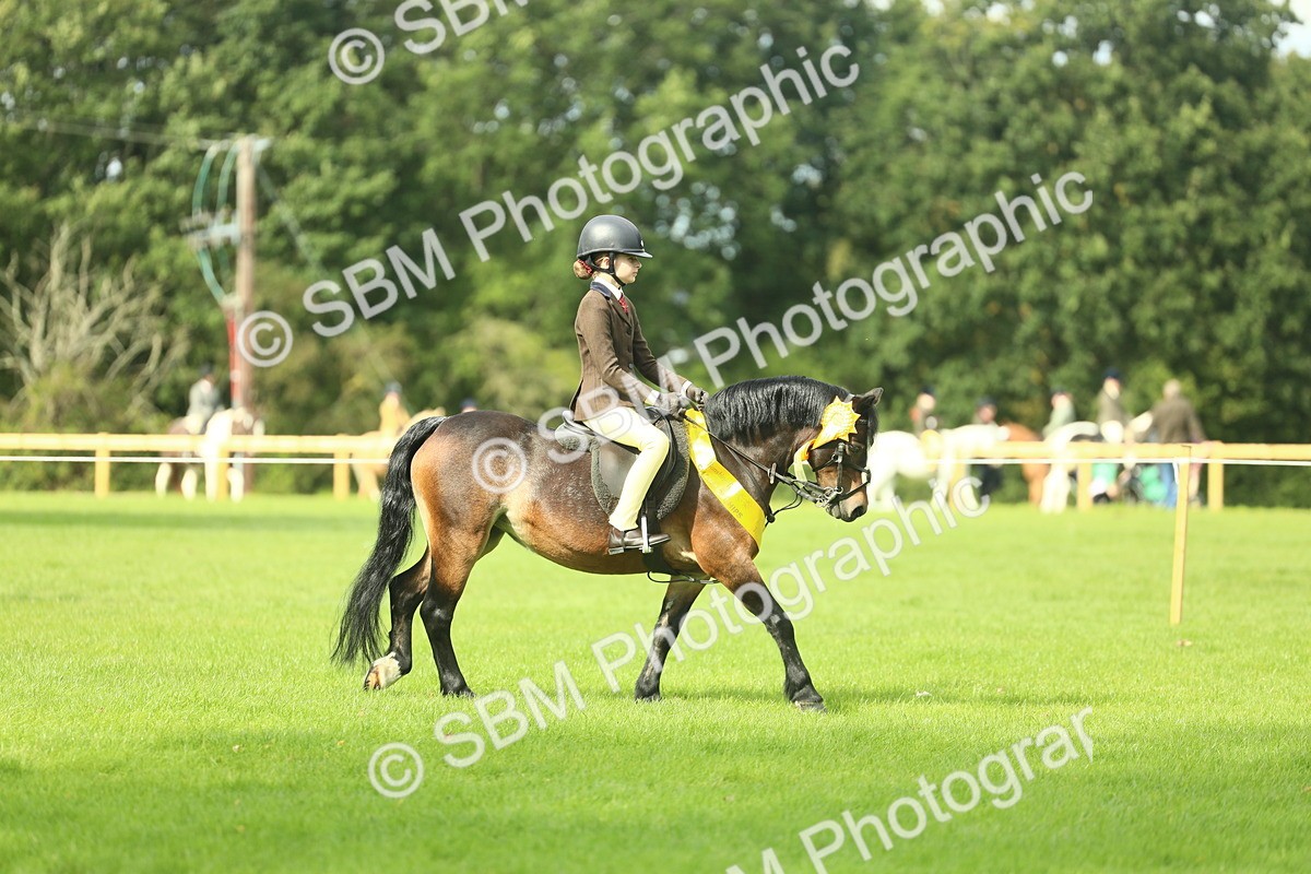 SBM_44881 - Working Hunter Pony Supreme Championship