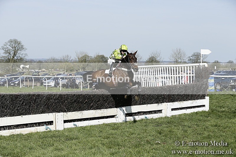 PtP 260317 256 - Mendip Farmers Point-to-Point Ston Easton 26/03/17