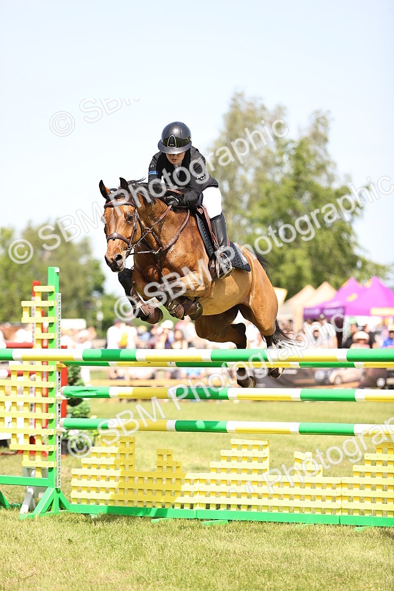SBM_03986 - Class 201 - British Horse Feedds Speedi Beet HOYS Grade C
