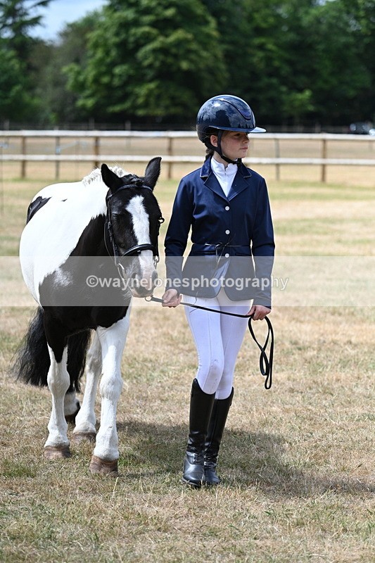 WJ7_1677 - Class 4 Prettiest Mare up to 14.2hh in hand