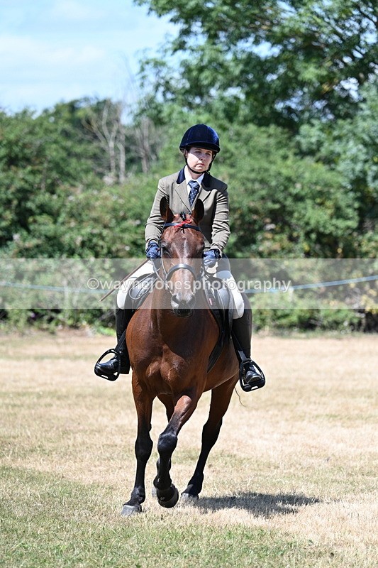 WJ7_3076 - Class 7 Riding Club Show Horse