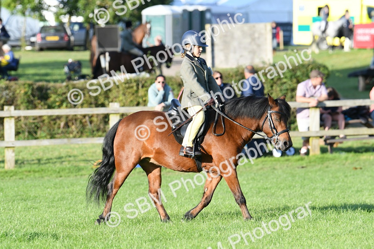 SBM_54106 - S23 - 1st Ridden Mountain & Moorland Pony