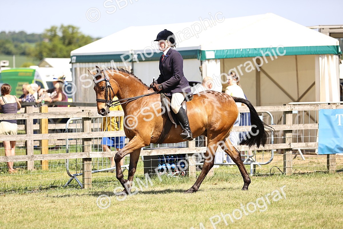 SBM_18014 - Class 81-83 - TSR Ridden Amateur of the Year - Horses