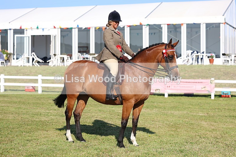 3E7A5176 - Class 1: Rising Star Small Hack/Riding Horses