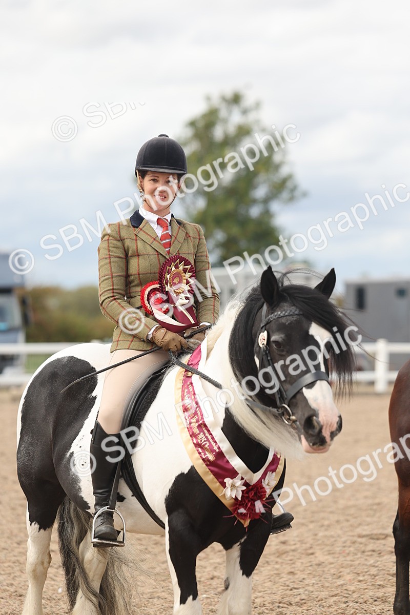 SBM_18071 - Class 314 - Family Horse Pony