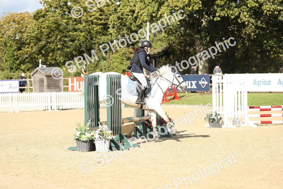 SBM_49465 - J22 - Junior Horse 65cm Championship