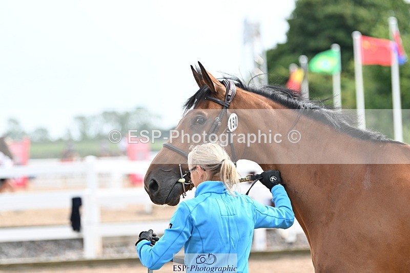 240717A-163701-03449 - Trot Up 4pm to 5pm