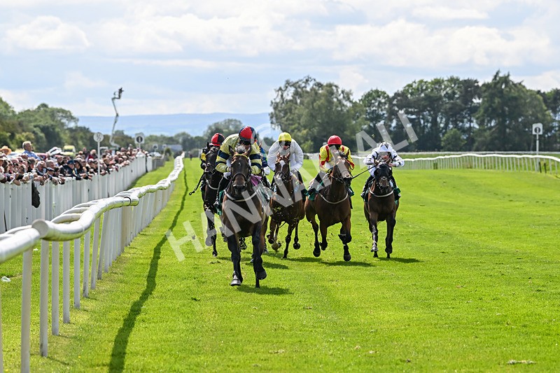 060625-Race 5-Miss Brazen-4911 - Race 5