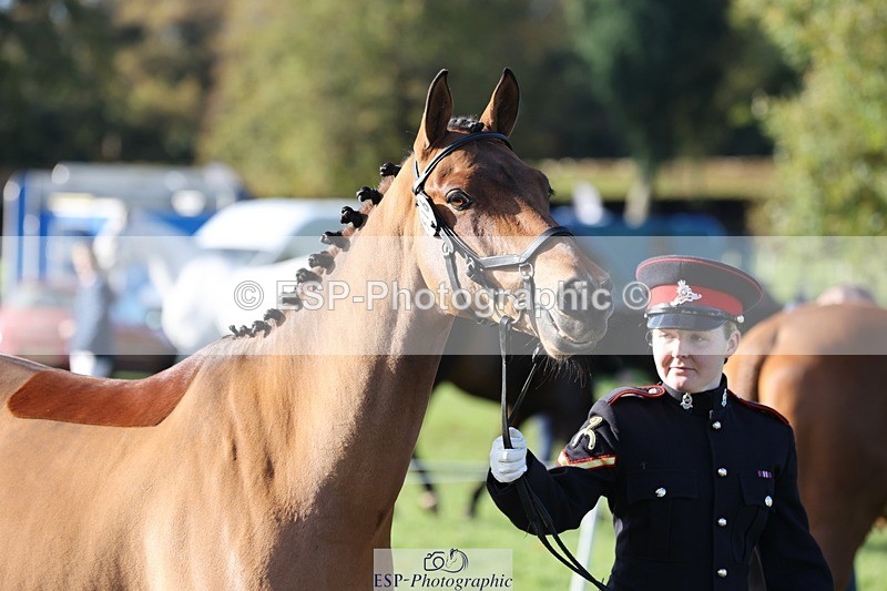 241027-101635-15782 - 516-L.Bdr.Ellie.Mitchell-MICRON.JOY