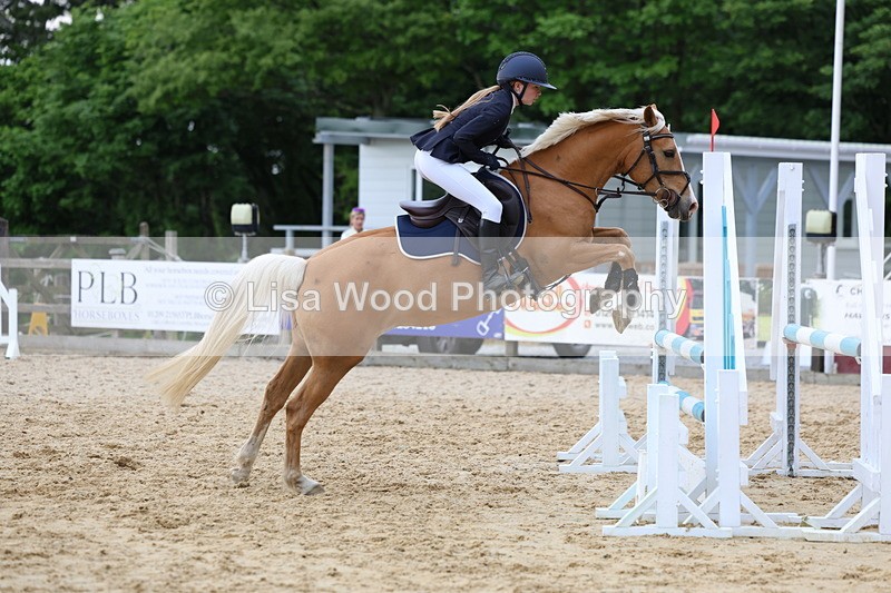 3E7A8510 - Class 13: Pony Discovery/90cm open