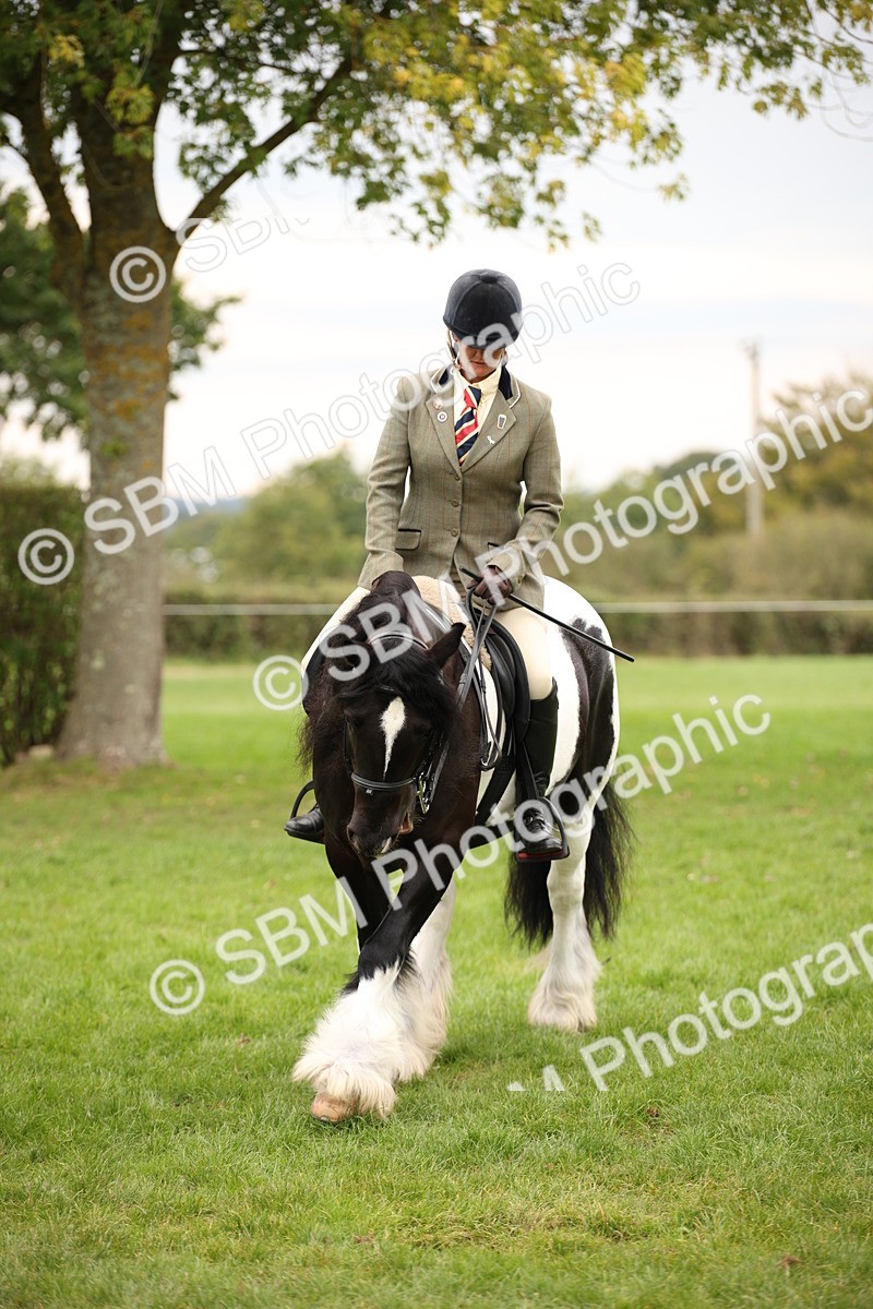 SBM_73506 - S68 - Traditional Cob Ridden