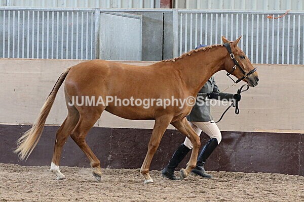 SIAL9620 - Indoor Classes