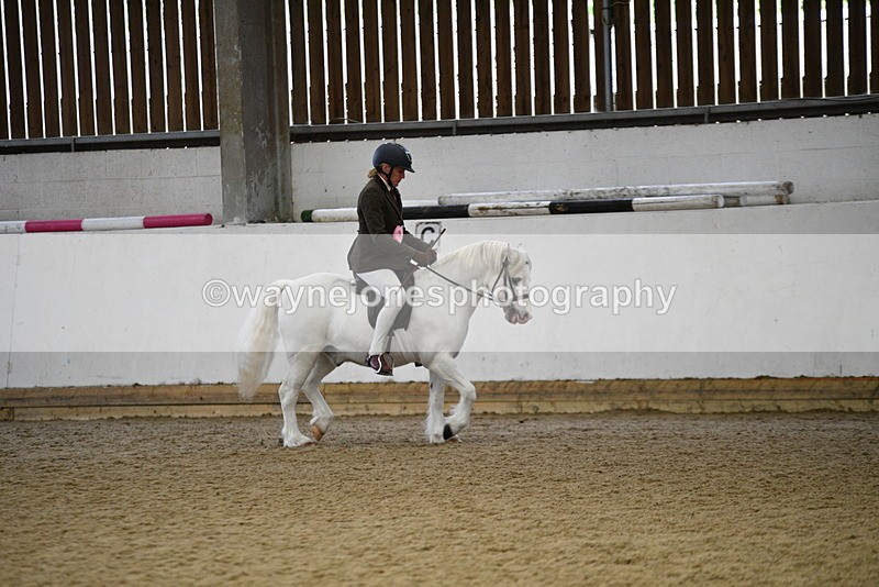 WJ5_6484 - Class 9 Ridden Veteran