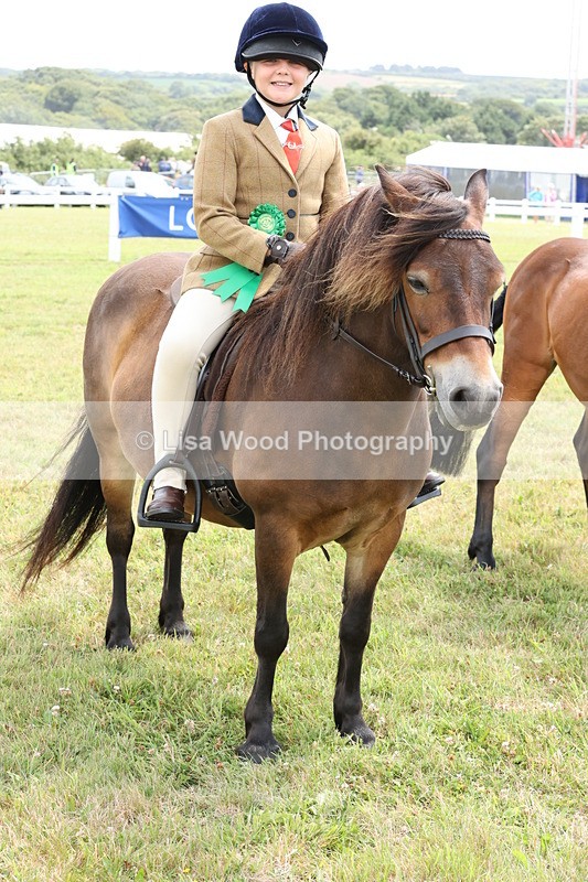 JPP_1992 - Class 18: Tiny Tots Working Hunter Pony