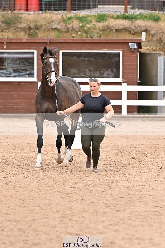 250716-144722-01391 - Trot Up 2.30 to 3.30