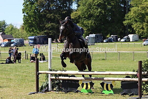 IMG_4542 - Working Hunter