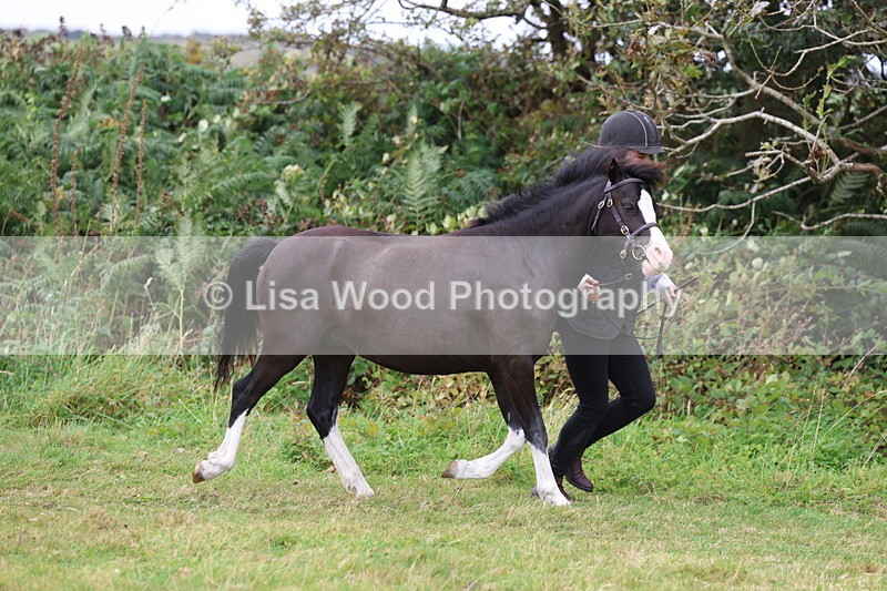 3E7A4327 - Class 15: Three Year Olds