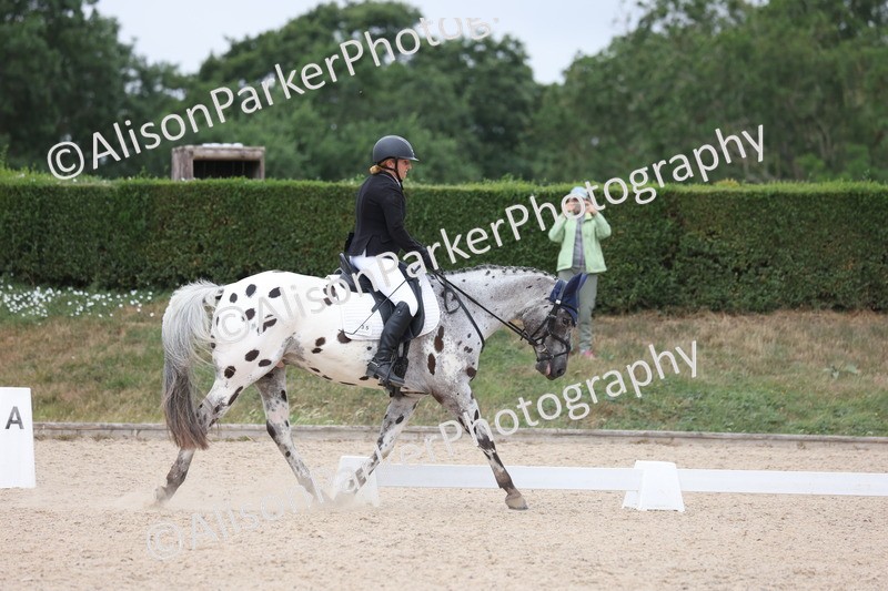 20250705-0474 - Class 5 - Novice 2