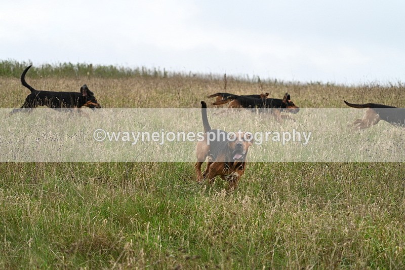 WJ7_9824 - Camera 1 & Last fence