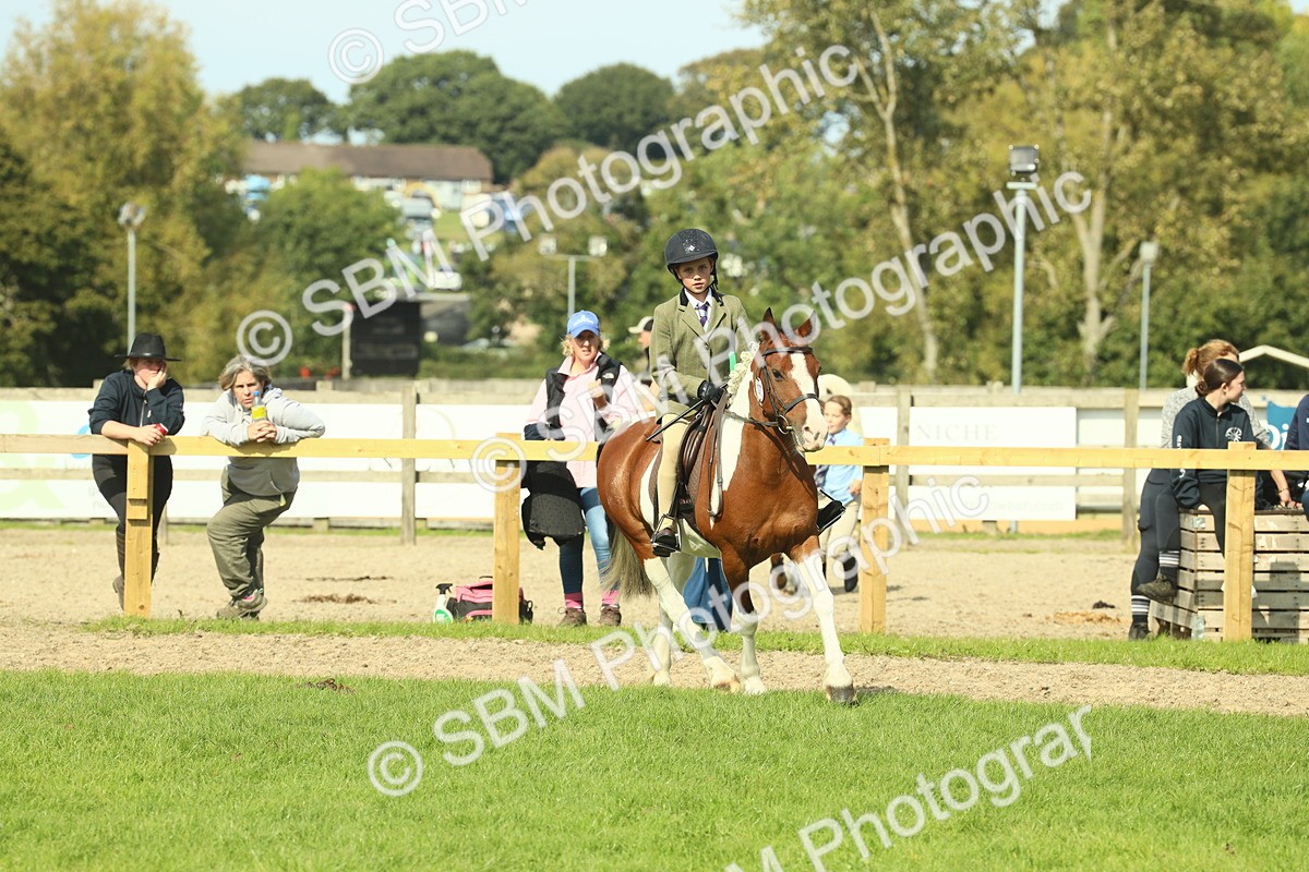 SBM_68915 - S58 - Mini Show Cob Ridden