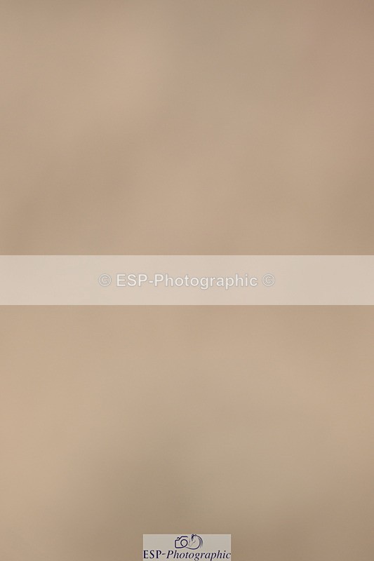 240323A-104502-01437 - DR Prelim 2