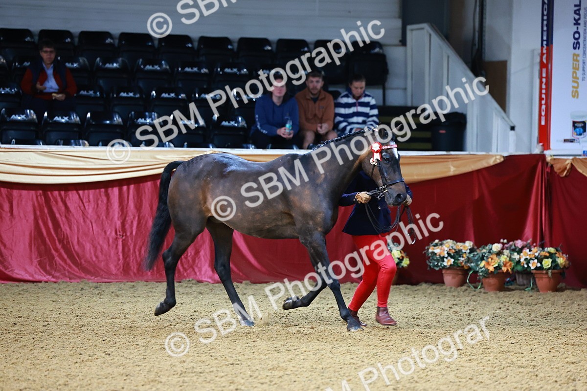 SBM_21716 - Class 901 - Supreme Final - IH  Diamond