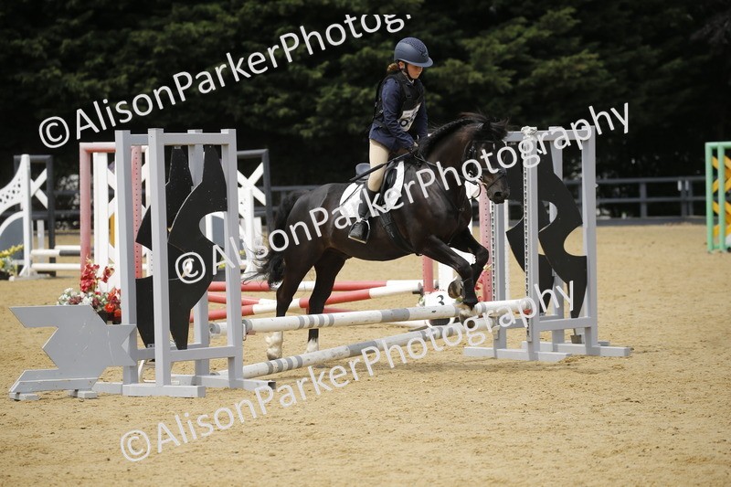 20250622-4670 - 50cm