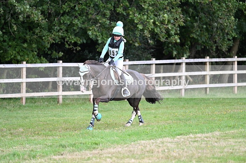 WJ7_8322 - 60cm Time 12:11 to 12:30