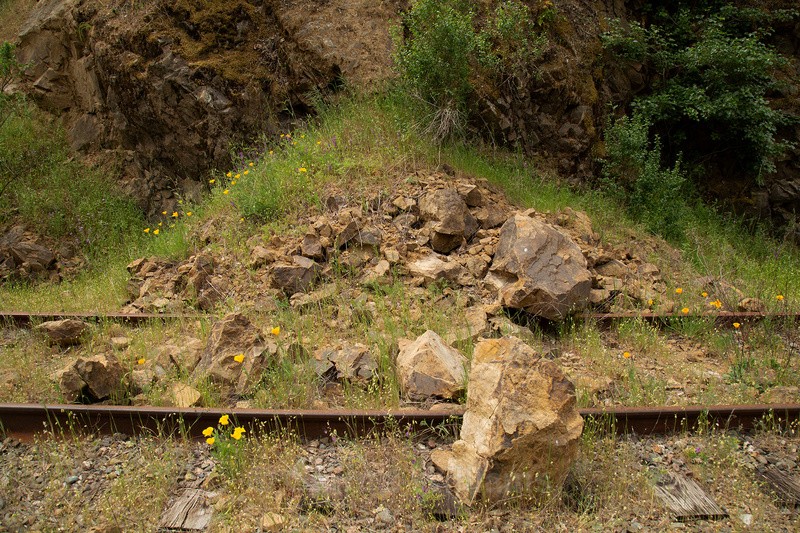 Slide - Abandoned Line