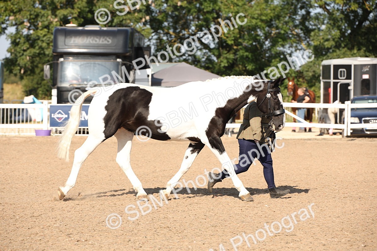 SBM_01444 - Class 15 IH Coloured