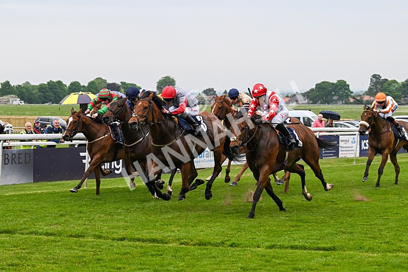 140524-Race 4-Bella Kopella-2051 - Race 4