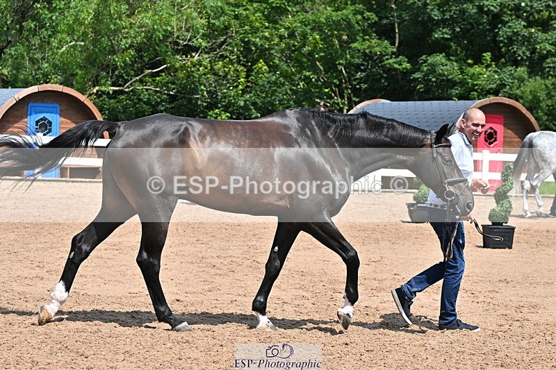 240718A-105258-01392 - Trot Up 12pm to 1pm