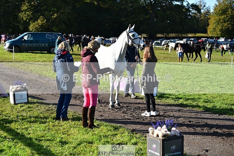 231022-101638-22368 - 455-GURTEEN.BARNEY-Georgie.Driver-TrotUp+SJ