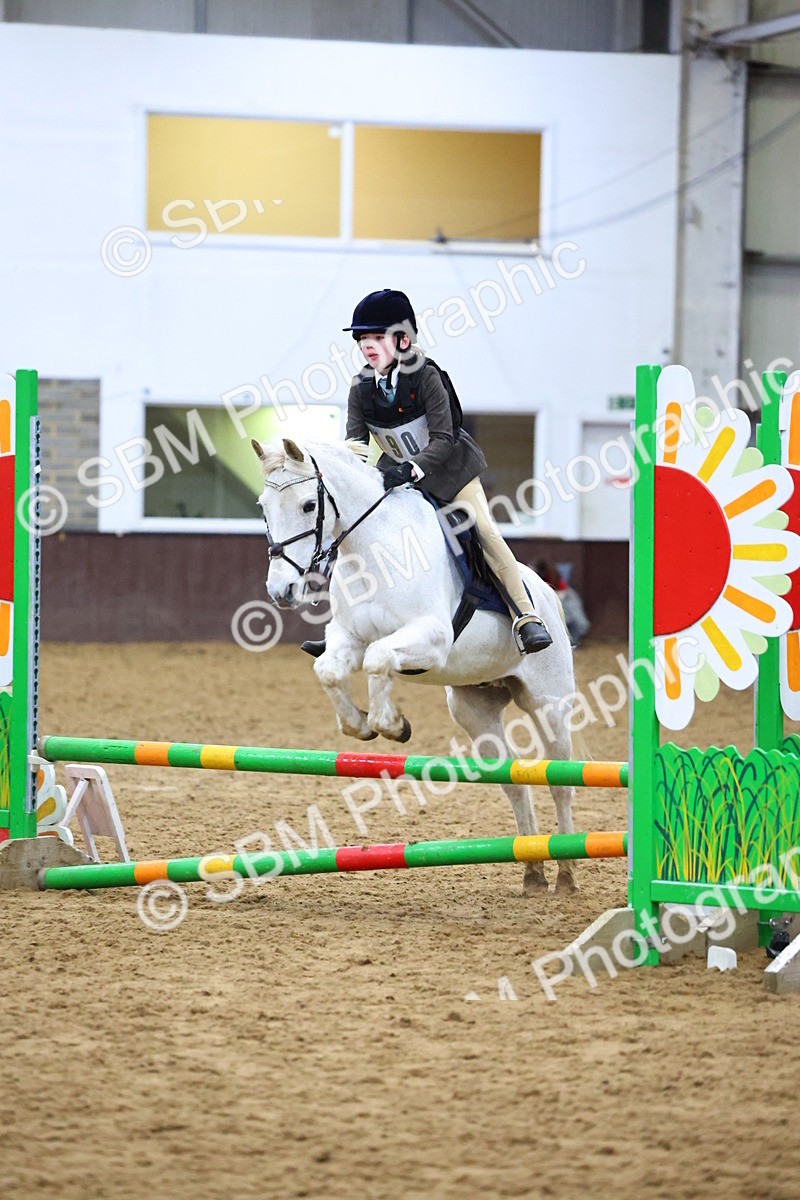 SBM_001239 - Class 3 - Christmas Tree Stakes - 60cm