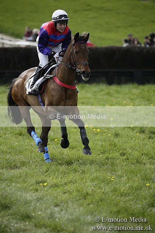 PtP 170417 430 - Old Berks Point-to-Point Lockinge 17/04/17