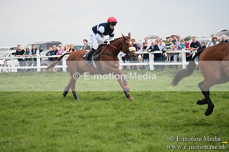 PtP 210418 351 - South & West Wilts Point-to-Point Larkhill 21/04/18