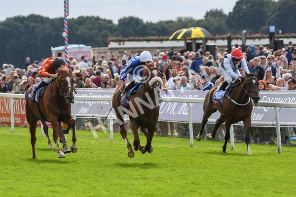 250823-Race 1-Marhaba The Champ-0122 - Race 1 1.50pm Sky Bet Handicap