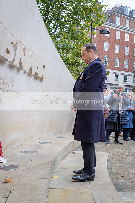 NGP_8269 - 2024 Animals in War Remembrance Gathering