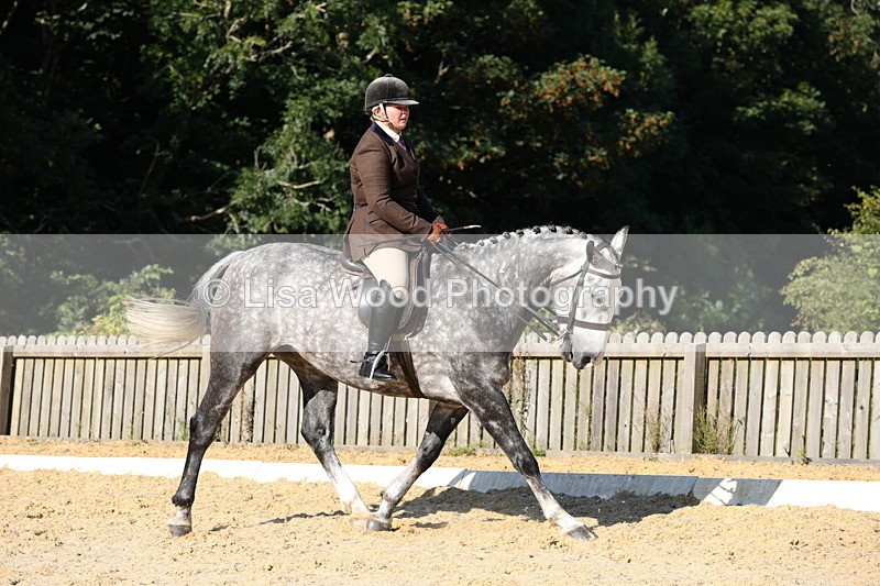 1X9A7662 - Class 8: Small Ridden Hunter