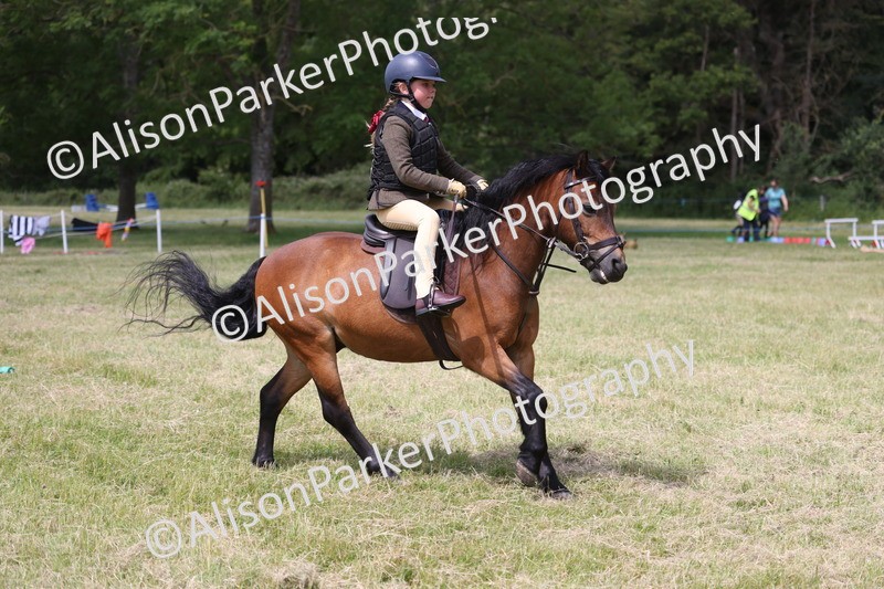 20260614-1817 - Class 21 - Novice Working Hunter Pony
