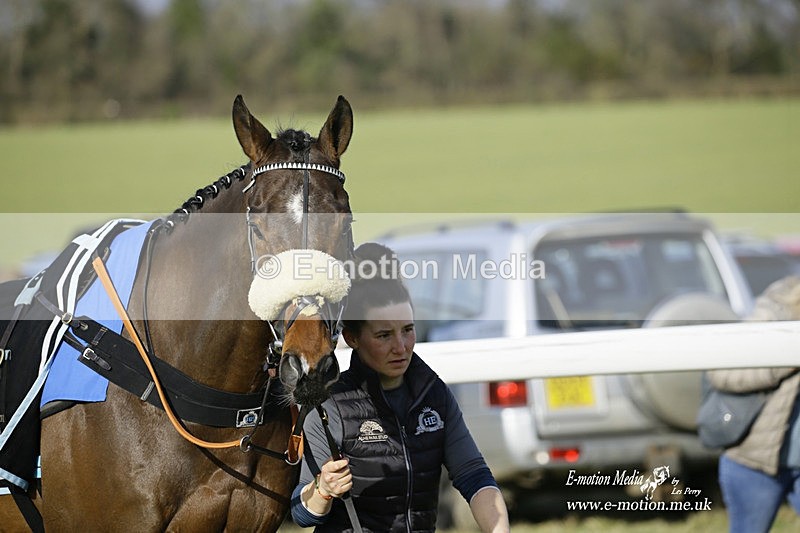PtP 260222 530 - Kingston Blount Racing Club Point-to-Point 26/02/22